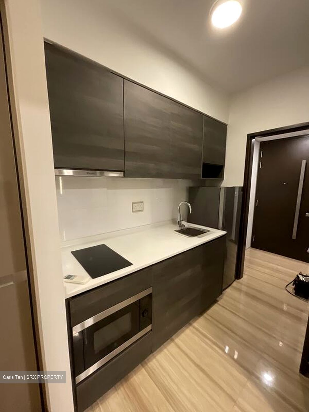 Sims Urban Oasis (D14), Condominium #507565401